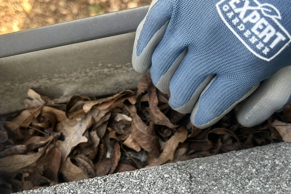 Kingston Gutter Cleaning